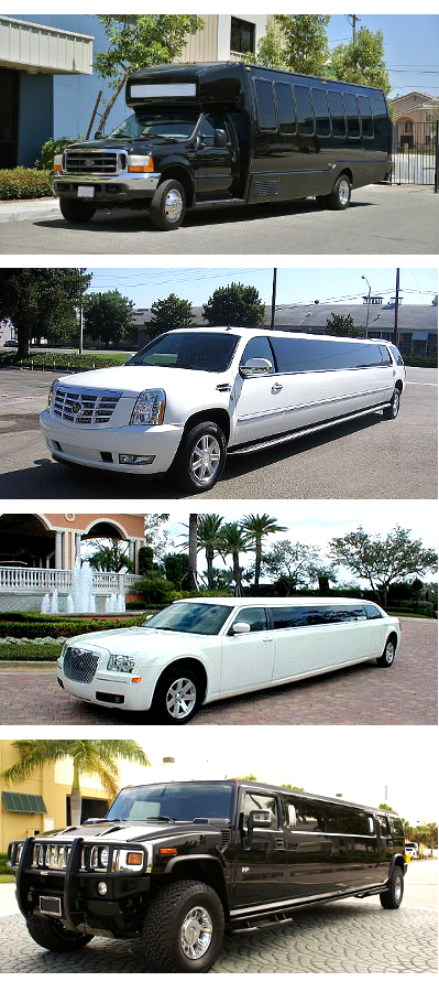 party bus limo service prices