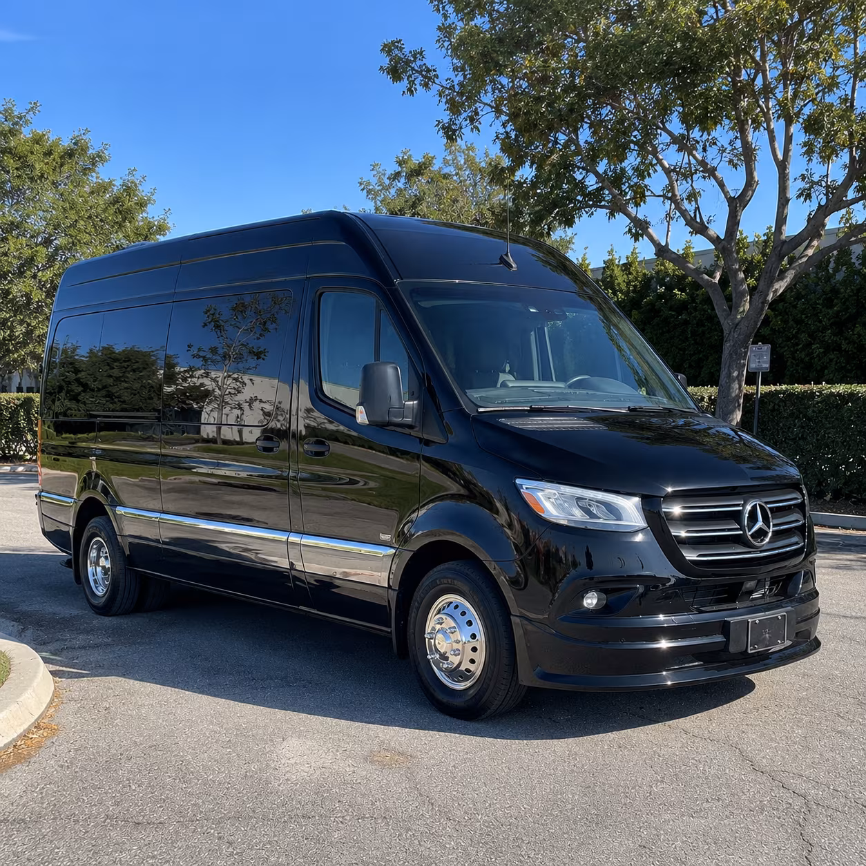 Raleigh Wedding Transportation & Shuttle Service